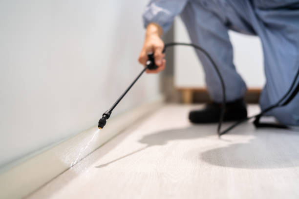 Licensed Mosquito Control service in Fishers, IN - Show Me Pest Control